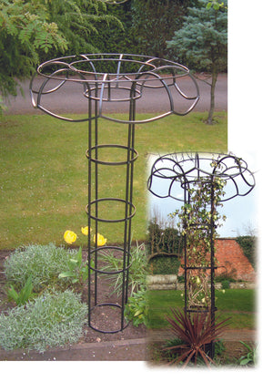 Wisteria umbrella support
