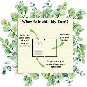 No Churn Mint Choc Ice-Cream Seed Greeting Card