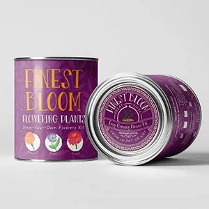 The Plant Gift Co Grow Your Own Blossom Kit