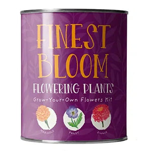 The Plant Gift Co Grow Your Own Blossom Kit