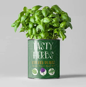 The Plant Gift Co Grow Your Own Herb Kit