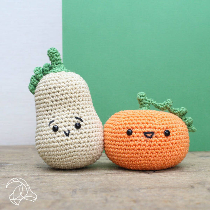 Pumpkin Crochet Kit