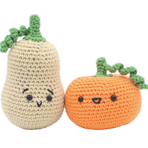 Pumpkin Crochet Kit-Rosy Posy Petals