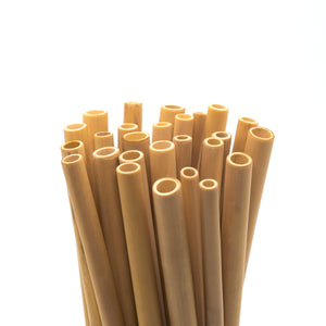 Jungle Straws - Set of 5 natural bamboo straws