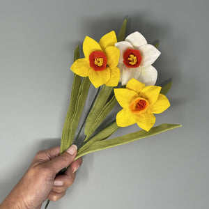 Felt Daffodils Craft Kit-Needle Felting-Rosy Posy Petals