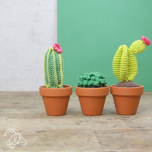 Cacti Crochet Kit