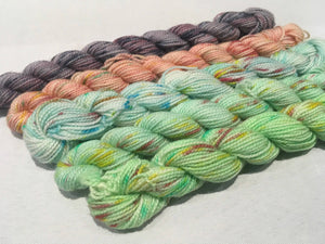 Ivy & lilly - MART Mini Set of 5 x 10g 4ply Sock Yarn-Hand Dyed Yarn-Rosy Posy Petals