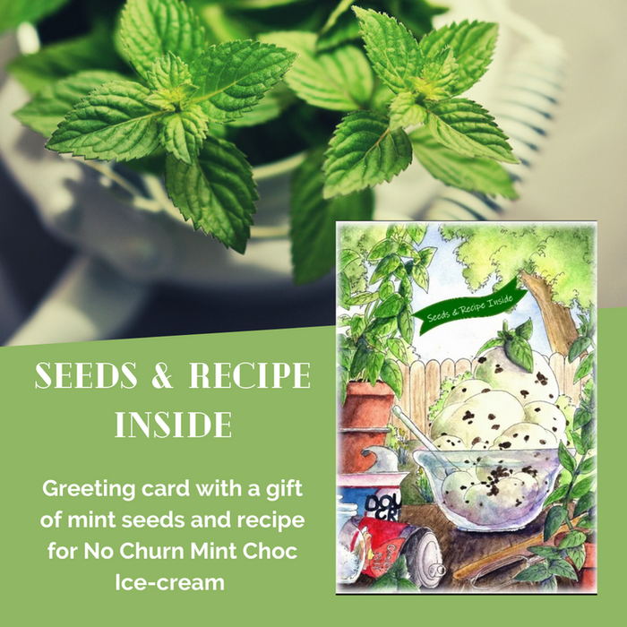Greeting cards with a gift of seeds -Cook With Love No Churn Mint Choc Chip Ice-Cream