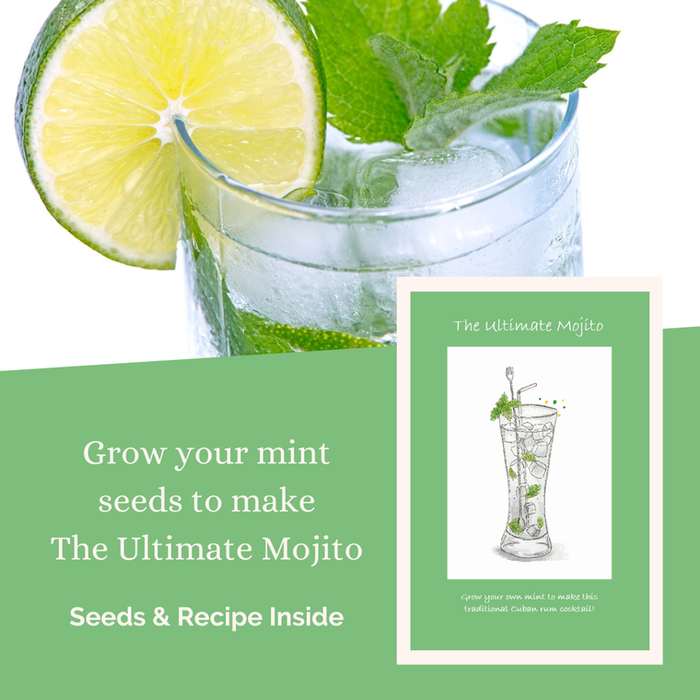 Greeting cards with a gift of seeds - Ultimate Mojito Cocktails With Love