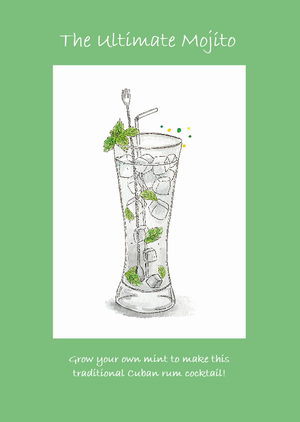 Greeting cards with a gift of seeds - Ultimate Mojito Cocktails With Love
